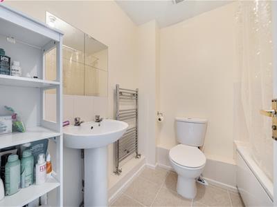 Picture 7
